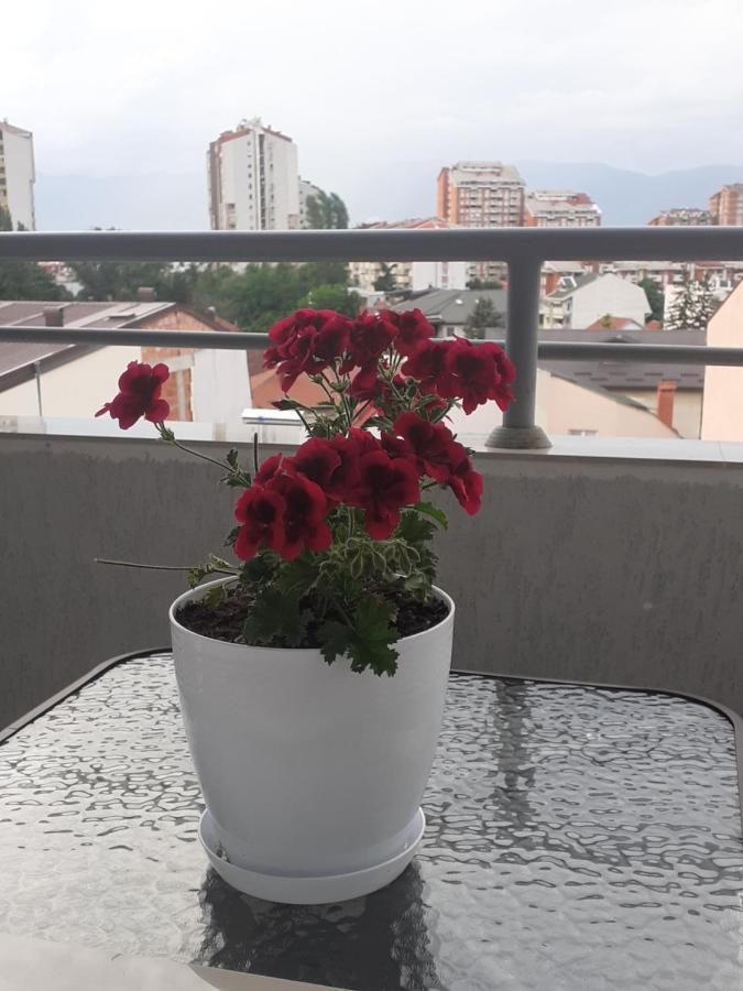 Ballet Apartament Skopje Exteriör bild